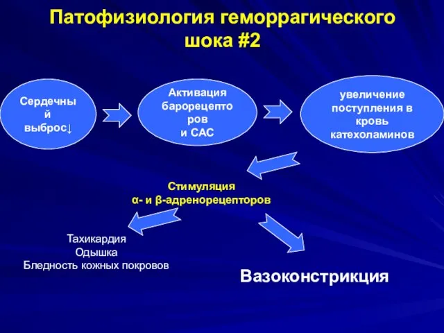 Сердечный выброс↓ Активация барорецепторов и САС увеличение поступления в кровь катехоламинов Стимуляция