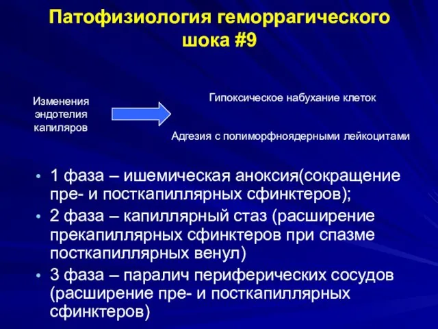 1 фаза – ишемическая аноксия(сокращение пре- и посткапиллярных сфинктеров); 2 фаза –