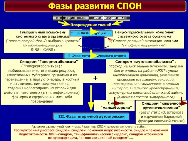 II. Фаза метаболического ответа Развитие развернутой клинической картины СПОН, которая включает в