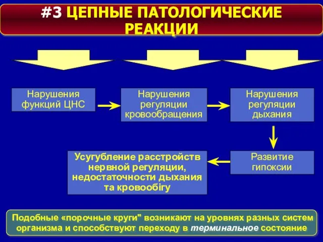 #3 ЦЕПНЫЕ ПАТОЛОГИЧЕСКИЕ РЕАКЦИИ Нарушения функций ЦНС Нарушения регуляции кровообращения Нарушения регуляции