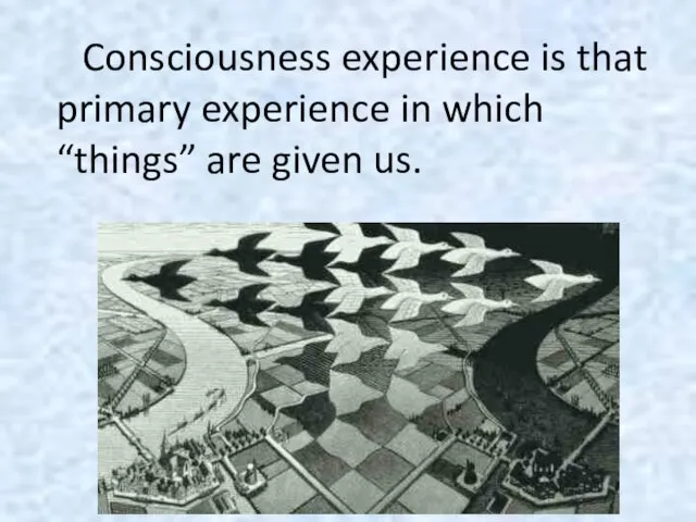 Consciousness experience is that primary experience in which “things” are given us.