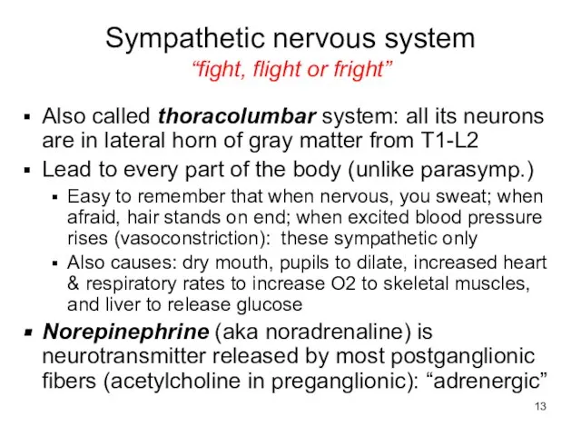 Sympathetic nervous system “fight, flight or fright” Also called thoracolumbar system: all