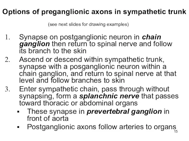 Options of preganglionic axons in sympathetic trunk Synapse on postganglionic neuron in