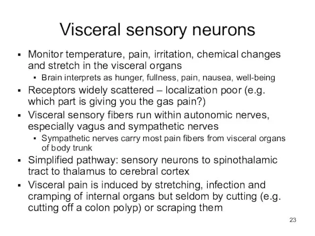 Visceral sensory neurons Monitor temperature, pain, irritation, chemical changes and stretch in