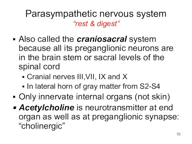 Parasympathetic nervous system “rest & digest” Also called the craniosacral system because