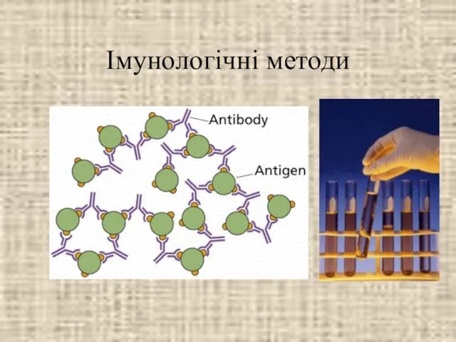 Імунологічні методи