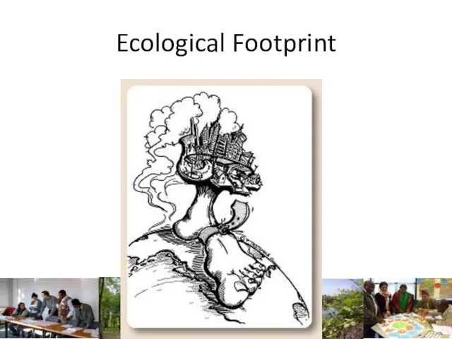 Ecological Footprint