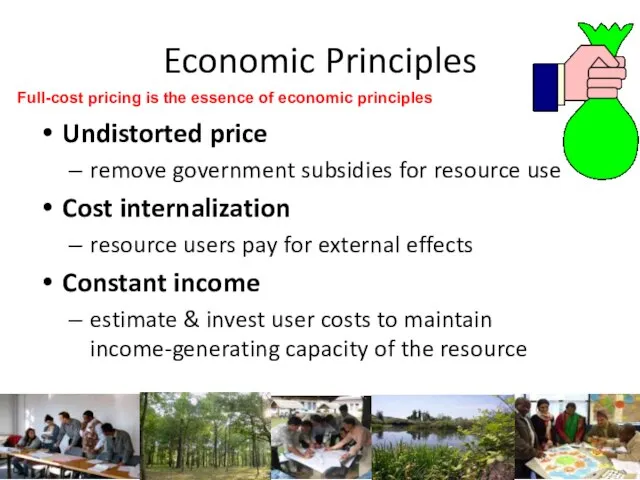 Economic Principles Undistorted price remove government subsidies for resource use Cost internalization