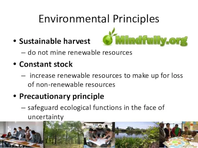 Environmental Principles Sustainable harvest do not mine renewable resources Constant stock increase