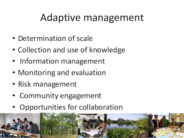 Adaptive management Determination of scale Collection and use of knowledge Information management