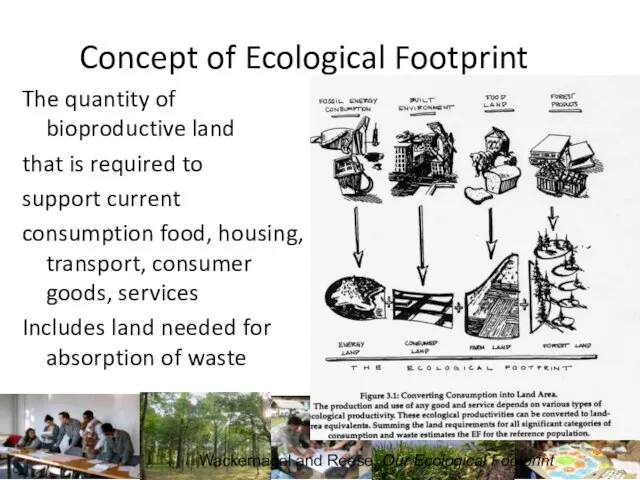 Concept of Ecological Footprint The quantity of bioproductive land that is required