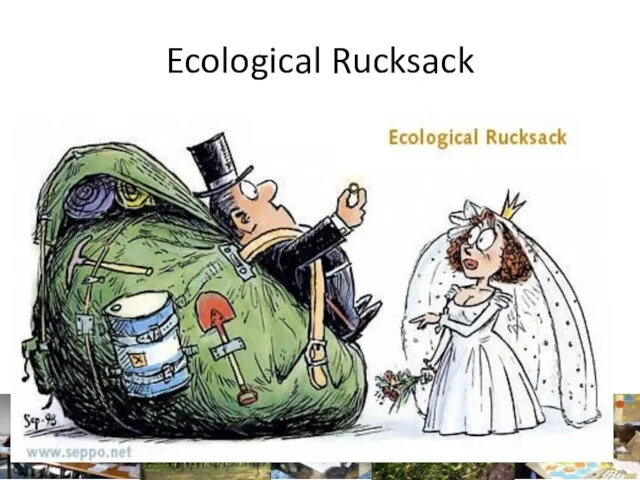 Ecological Rucksack