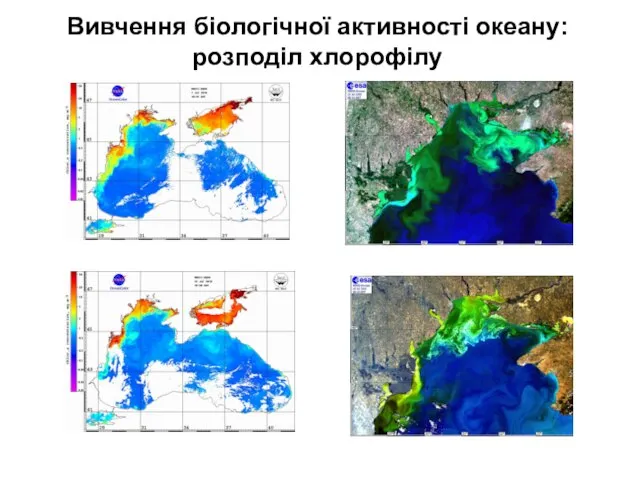 Вивчення біологічної активності океану: розподіл хлорофілу