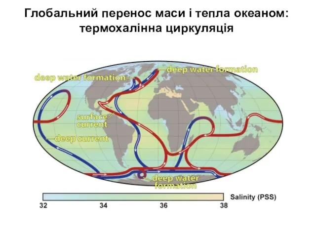 Глобальний перенос маси і тепла океаном: термохалінна циркуляція