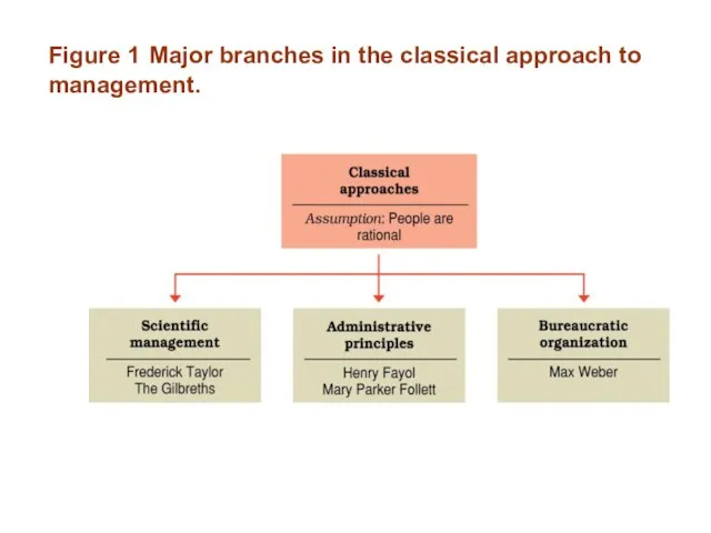 Figure 1 Major branches in the classical approach to management.