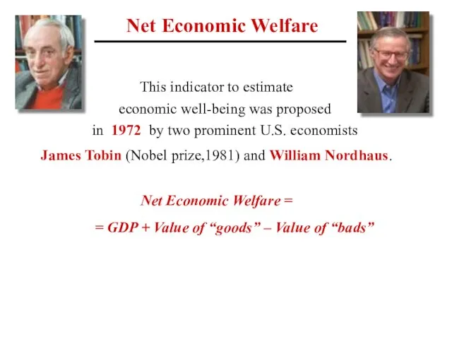 Net Economic Welfare This indicator to estimate economic well-being was proposed in