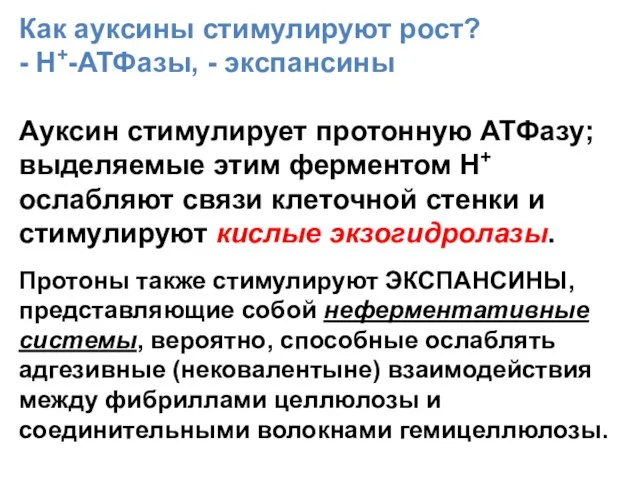 Как ауксины стимулируют рост? - Н+-АТФазы, - экспансины Ауксин стимулирует протонную АТФазу;