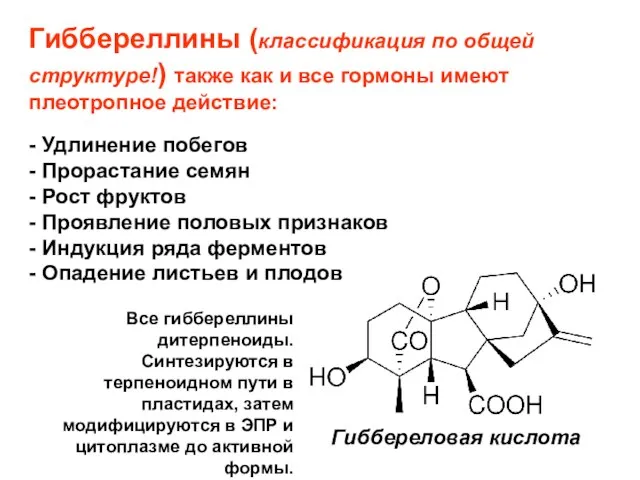 Гиббереллины (классификация по общей структуре!) также как и все гормоны имеют плеотропное