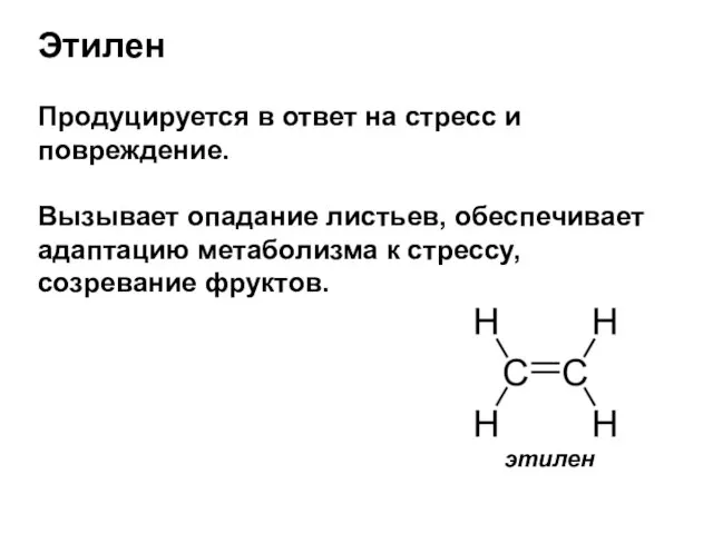 Этилен Продуцируется в ответ на стресс и повреждение. Вызывает опадание листьев, обеспечивает