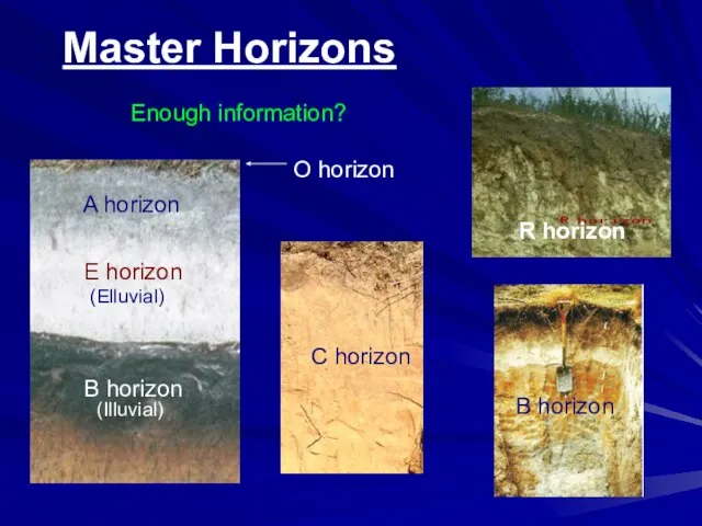 E horizon A horizon B horizon (Illuvial) (Elluvial) C horizon R horizon