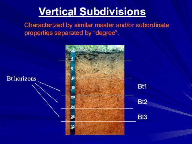 Vertical Subdivisions Characterized by similar master and/or subordinate properties separated by “degree”. Bt1 Bt2 Bt3