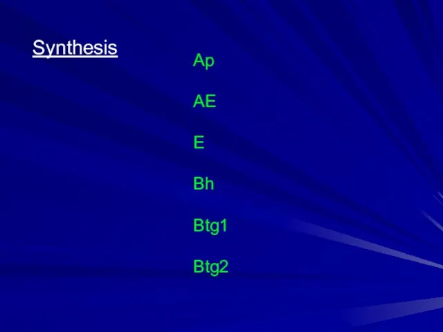 Synthesis Ap AE E Bh Btg1 Btg2