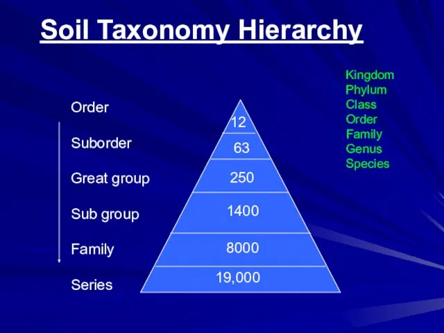 Order Suborder Great group Sub group Family Series 12 19,000 Soil Taxonomy