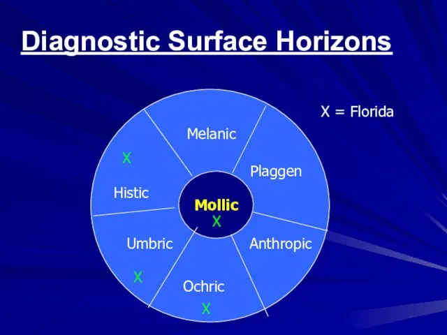 Mollic Histic Umbric Ochric Melanic Plaggen Anthropic X X X X X