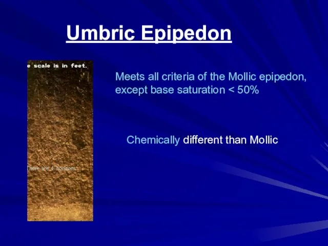 Umbric Epipedon Meets all criteria of the Mollic epipedon, except base saturation Chemically different than Mollic