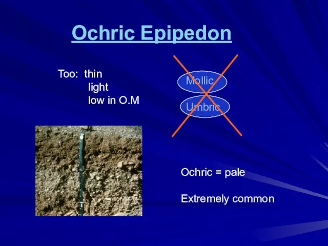 Ochric Epipedon Too: thin light low in O.M Mollic Umbric Ochric = pale Extremely common