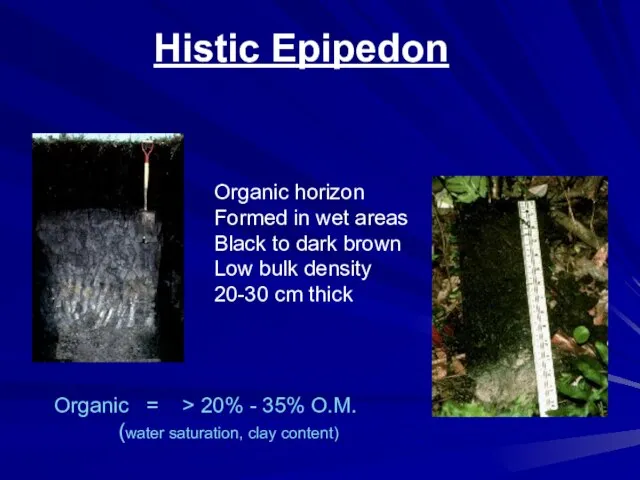 Histic Epipedon Organic horizon Formed in wet areas Black to dark brown