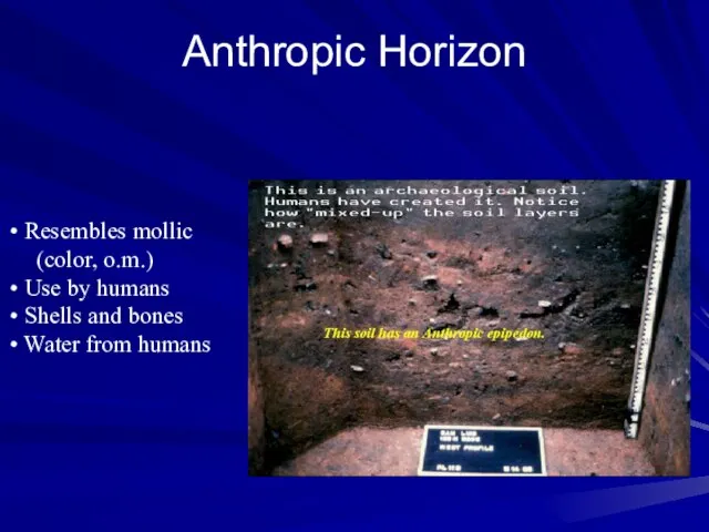 Anthropic Horizon Resembles mollic (color, o.m.) Use by humans Shells and bones Water from humans