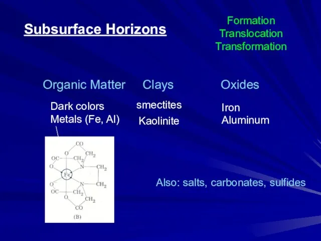 Organic Matter Clays Oxides smectites Subsurface Horizons Kaolinite Also: salts, carbonates, sulfides