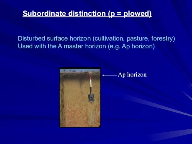 Subordinate distinction (p = plowed) Disturbed surface horizon (cultivation, pasture, forestry) Used