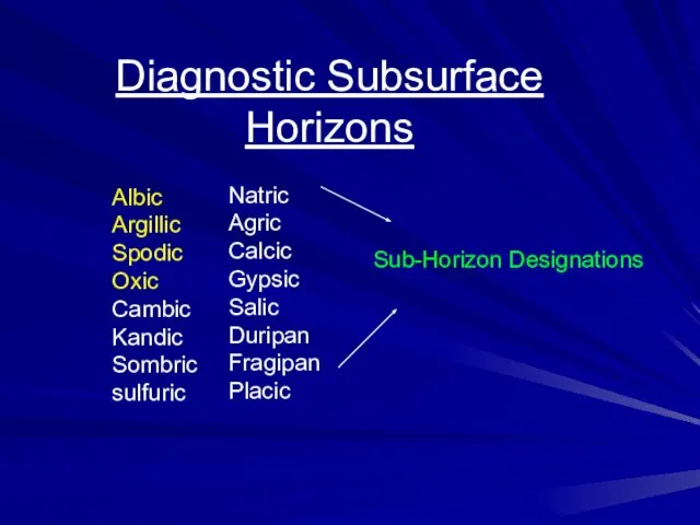 Diagnostic Subsurface Horizons Albic Argillic Spodic Oxic Cambic Kandic Sombric sulfuric Natric