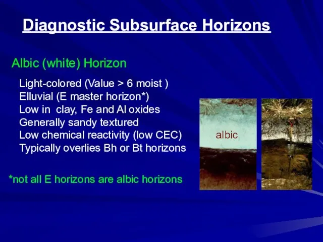 Diagnostic Subsurface Horizons Albic (white) Horizon Light-colored (Value > 6 moist )