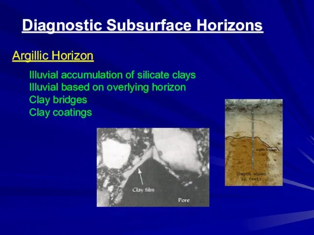 Argillic Horizon Illuvial accumulation of silicate clays Illuvial based on overlying horizon