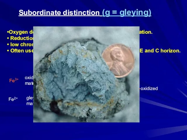 Subordinate distinction (g = gleying) Oxygen deprived or reduced state due to