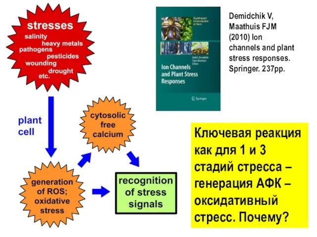 Demidchik V, Maathuis FJM (2010) Ion channels and plant stress responses. Springer.