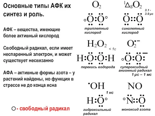 - свободный радикал Основные типы АФК их синтез и роль. АФК –