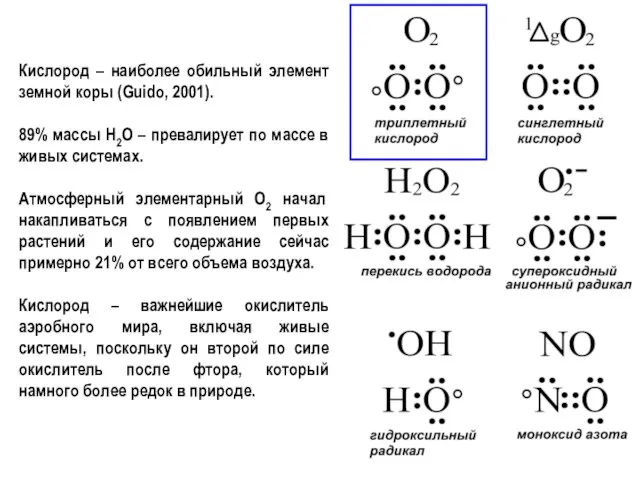 Кислород – наиболее обильный элемент земной коры (Guido, 2001). 89% массы H2O