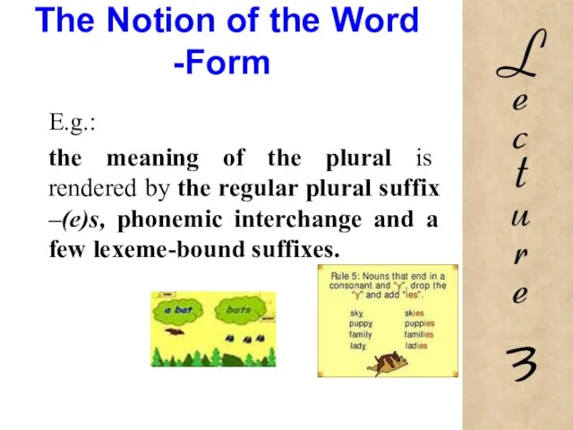 The Notion of the Word -Form E.g.: the meaning of the plural