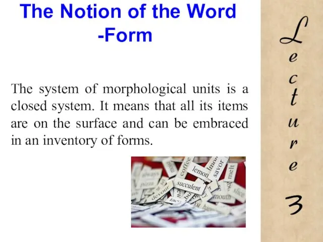 The Notion of the Word -Form The system of morphological units is