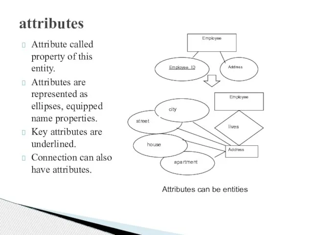 attributes Attribute called property of this entity. Attributes are represented as ellipses,