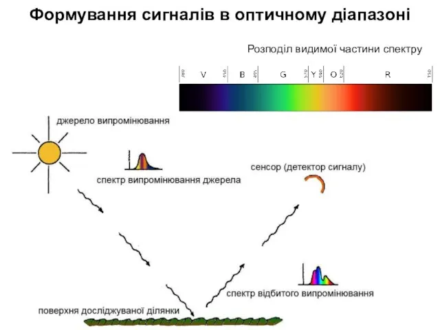 Розподіл видимої частини спектру Формування сигналів в оптичному діапазоні
