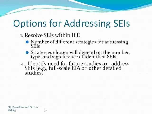 EIA Procedures and Decision Making Options for Addressing SEIs 1. Resolve SEIs