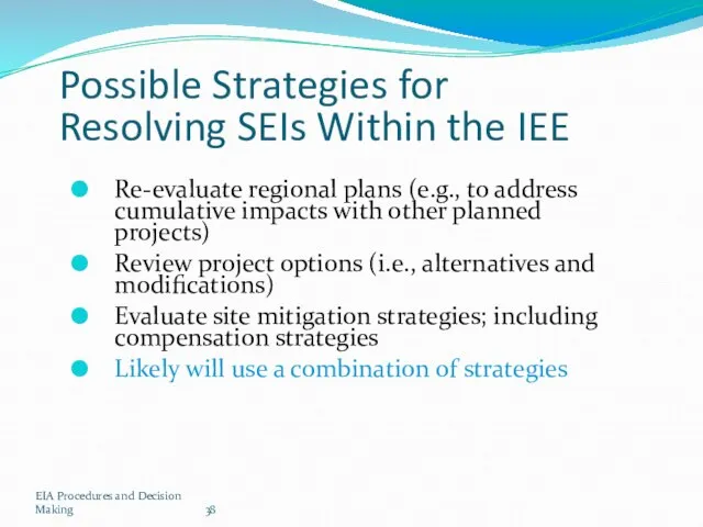 EIA Procedures and Decision Making Possible Strategies for Resolving SEIs Within the