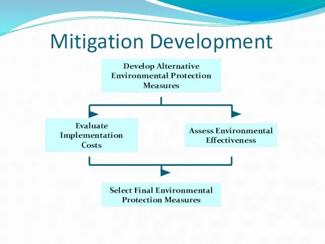Mitigation Development Develop Alternative Environmental Protection Measures Select Final Environmental Protection Measures