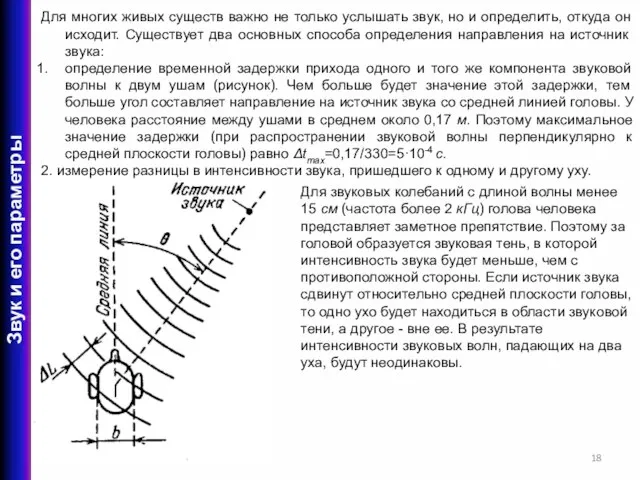 Для многих живых существ важно не только услышать звук, но и определить,