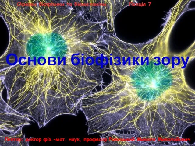 Основи біофізики зору Основи біофізики та біомеханіки. Лекція 7 Лектор: доктор фіз.-мат.